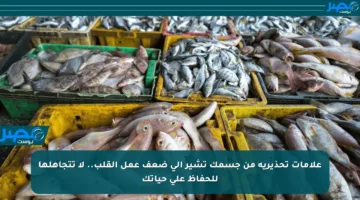 علامات تحذيرية من جسمك تشير إلى ضعف عمل القلب.. لا تتجاهلها للحفاظ على حياتك